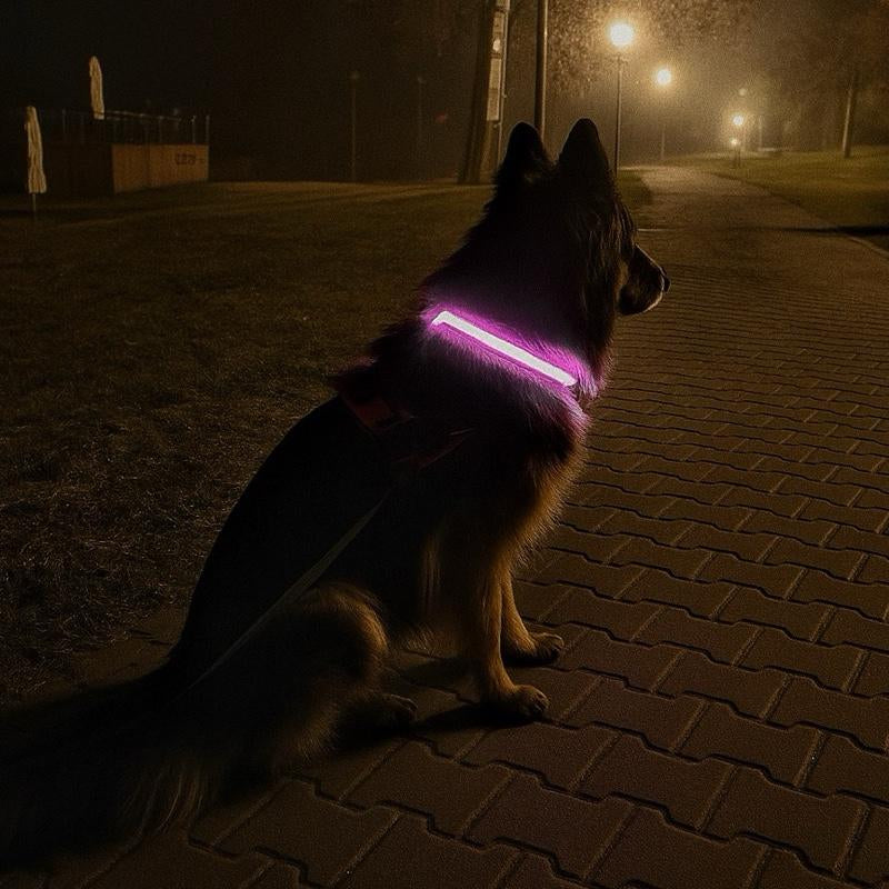Glowpaws LED Dog Collar [FREE SHIPPING]