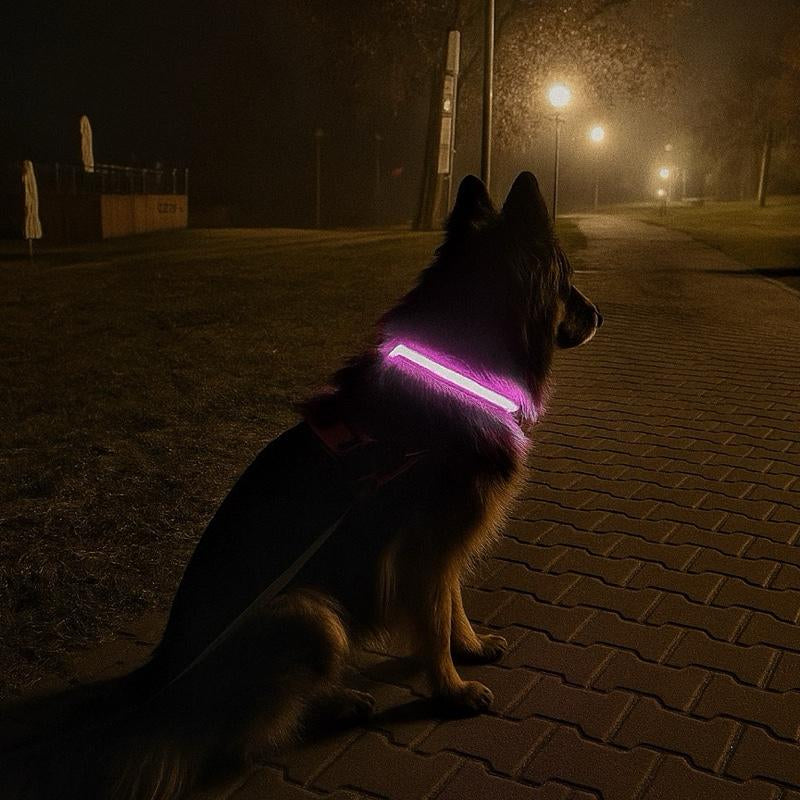 Glowpaws LED Dog Collar [FREE SHIPPING]