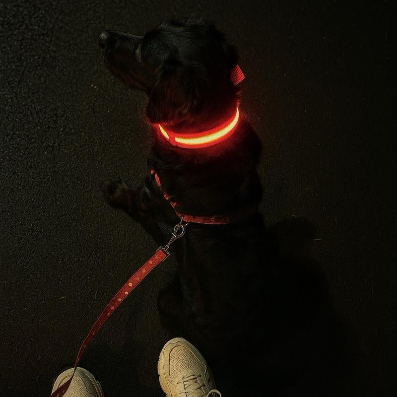 Glowpaws LED Dog Collar [FREE SHIPPING]